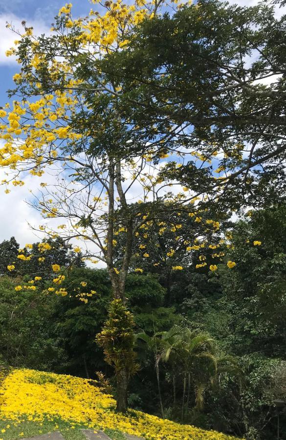 Salento_Littlehouseヴィラ エクステリア 写真